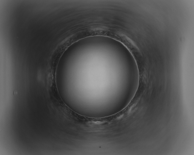 X0000101100821200806261510