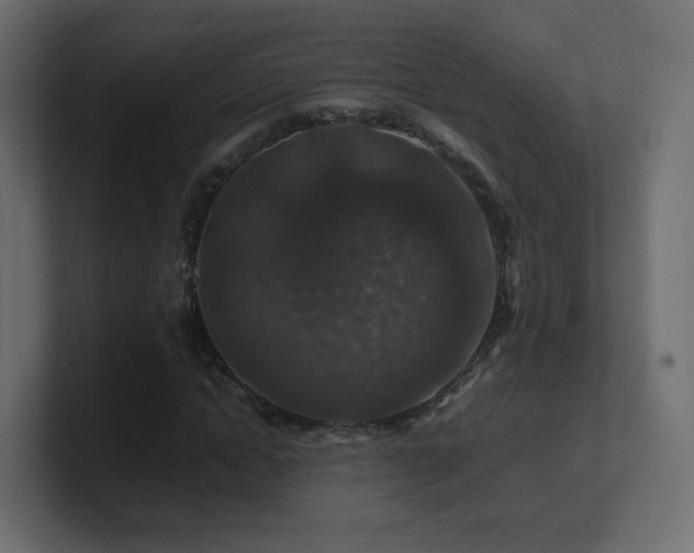 X0000101100822200806261510
