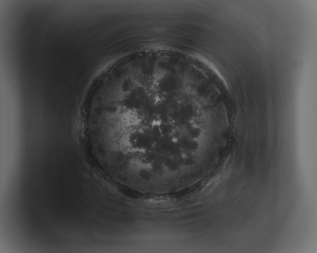 X0000101100823200806261510