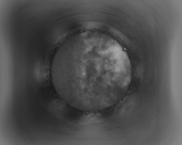X0000101100824200806261510