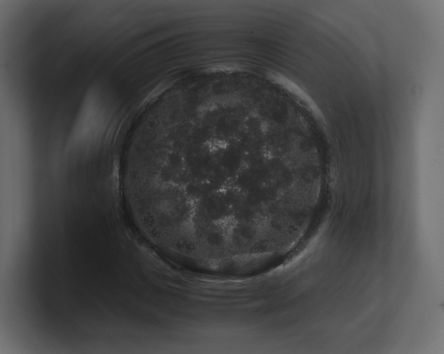 X0000101100825200806261510