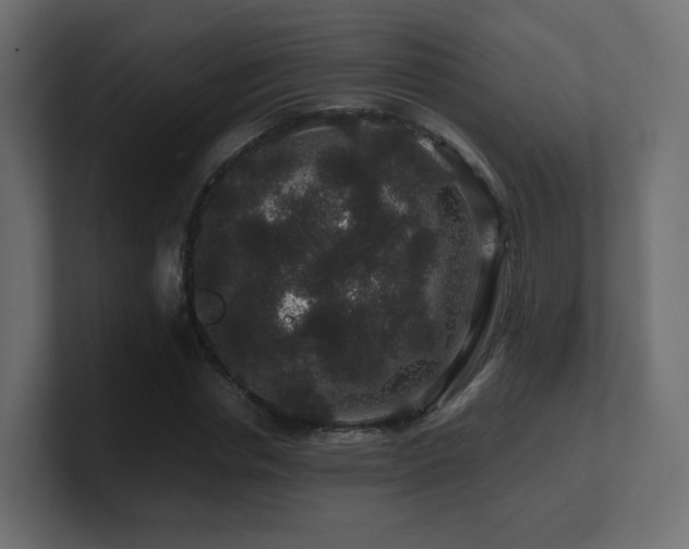 X0000101100826200806261510