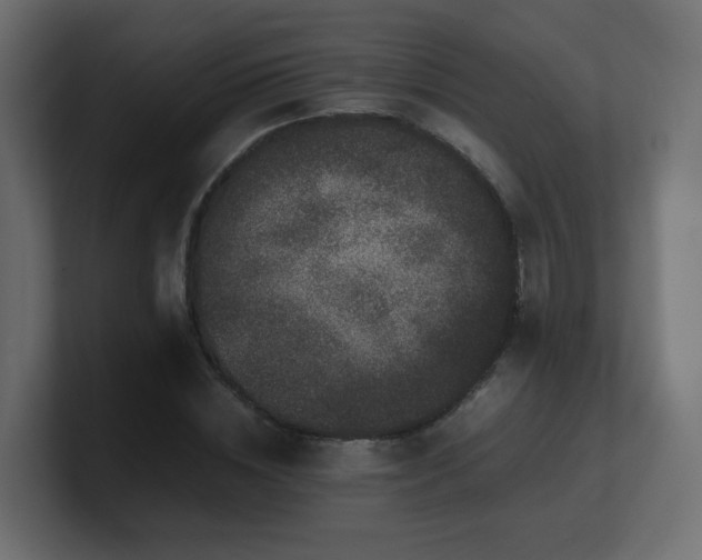 X0000101100828200806261510