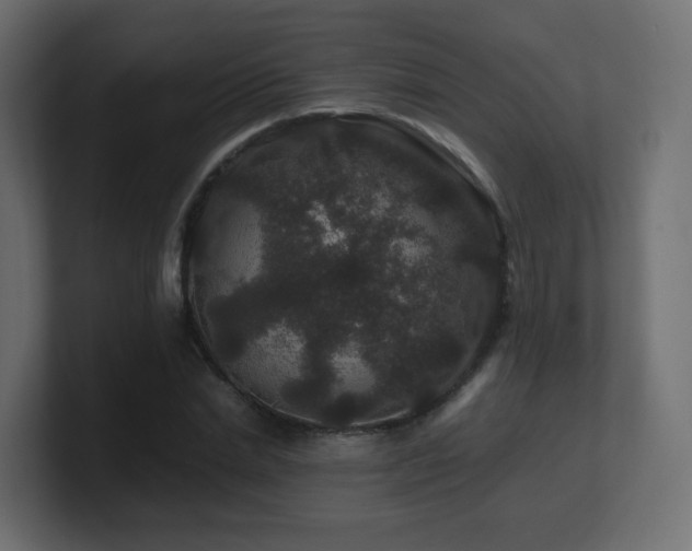 X0000101100830200806261510