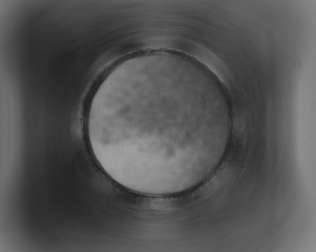 X0000101100832200806261510