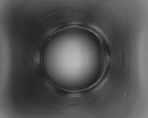 X0000101100833200806261510