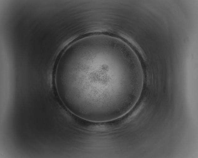 X0000101100834200806261510