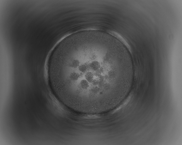 X0000101100835200806261510