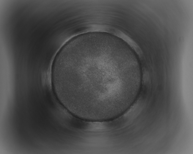 X0000101100836200806261510