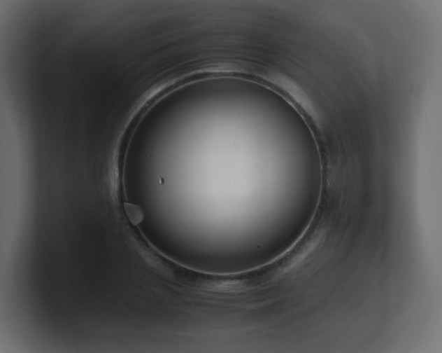 X0000101100837200806261510