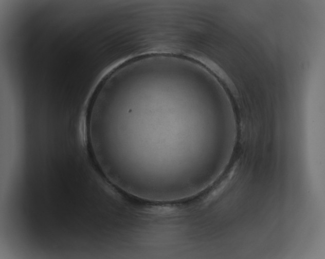 X0000101100838200806261510