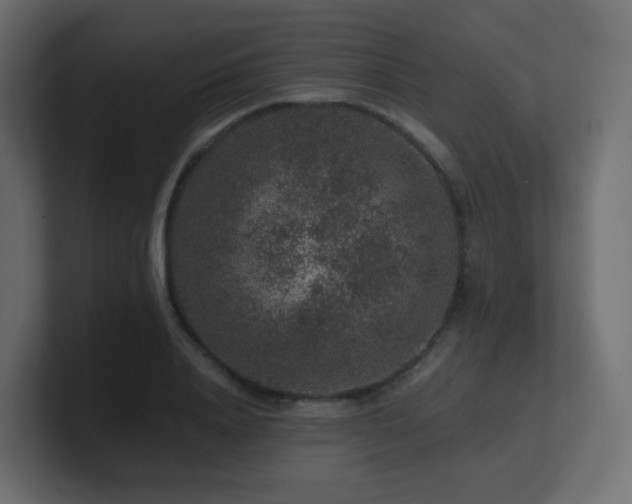 X0000101100840200806261510