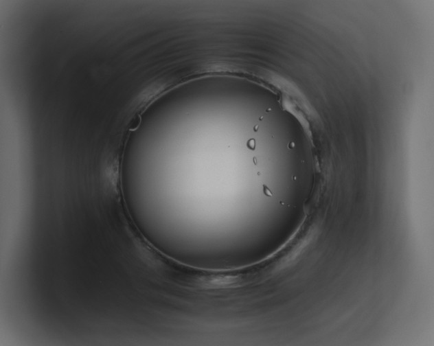 X0000101100841200806261510