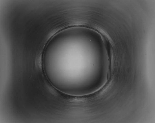 X0000101100842200806261510