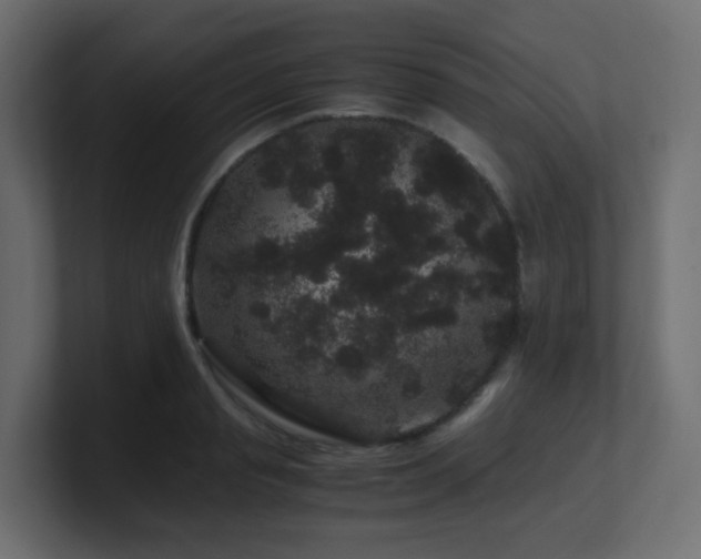 X0000101100845200806261510