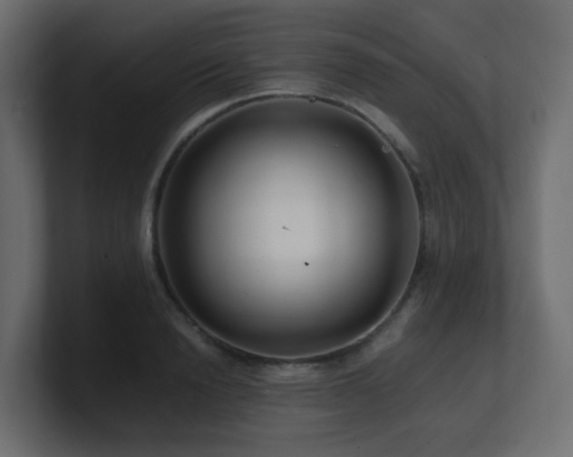 X0000101100846200806261510