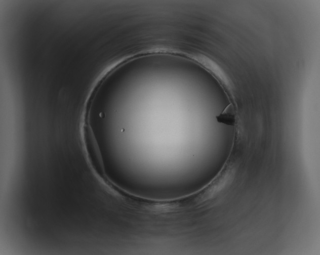 X0000101100847200806261510