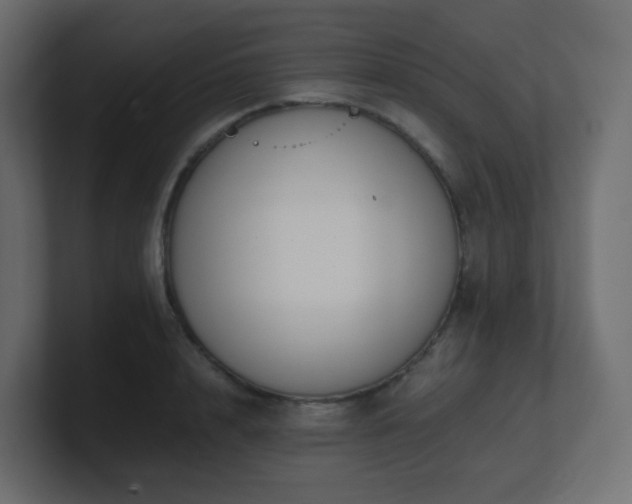 X0000101100848200806261510