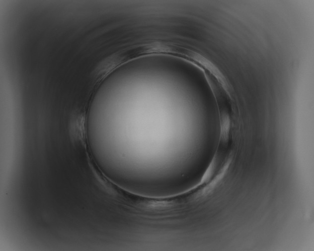 X0000101100849200806261510