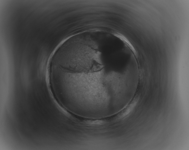 X0000101100851200806261510