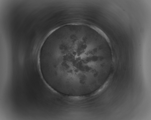 X0000101100855200806261511