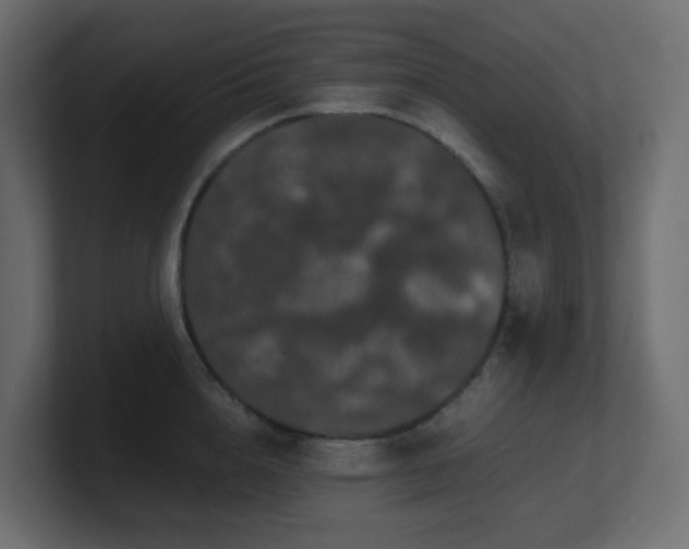 X0000101100856200806261511