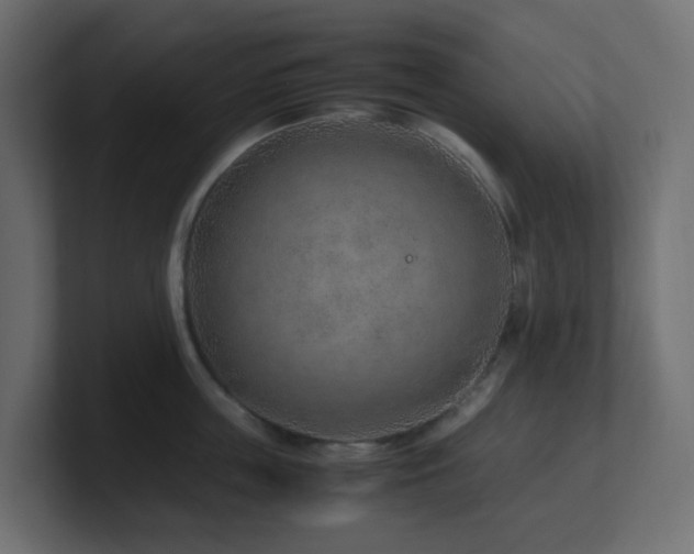X0000101100859200806261511