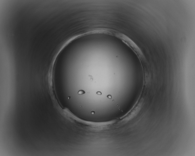 X0000101100860200806261511