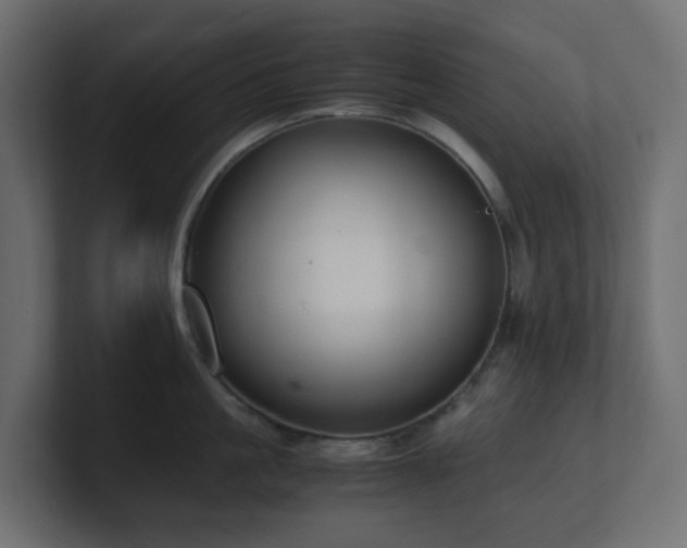 X0000101100861200806261511