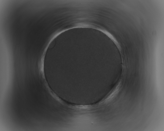 X0000101100862200806261511