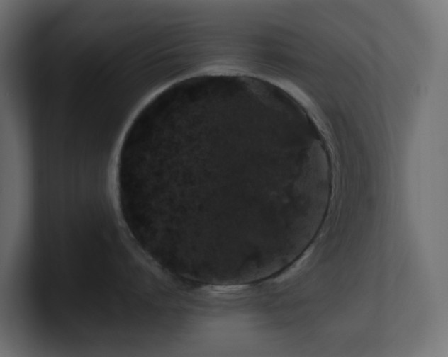 X0000101100864200806261511