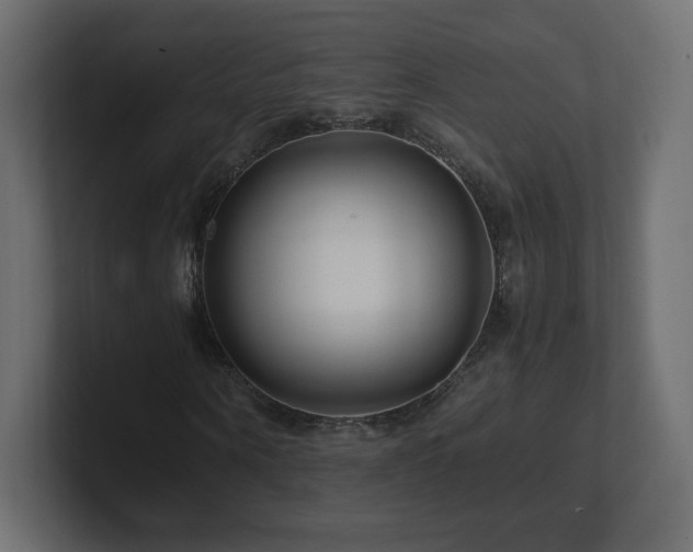 X0000101100866200806261510