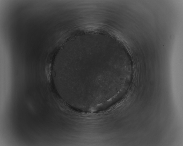 X0000101100868200806261510