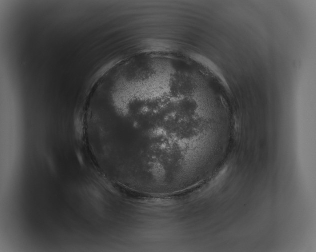 X0000101100874200806261510