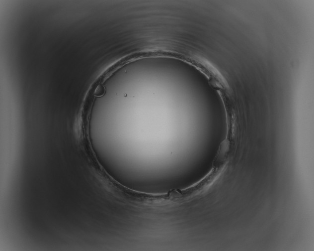 X0000101100876200806261510