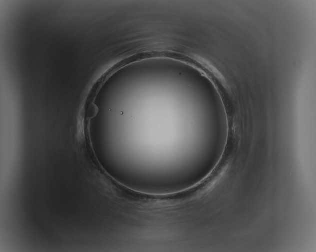X0000101100877200806261510