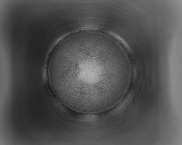X0000101100878200806261510