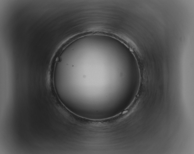 X0000101100880200806261510