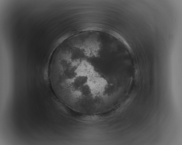 X0000101100882200806261510