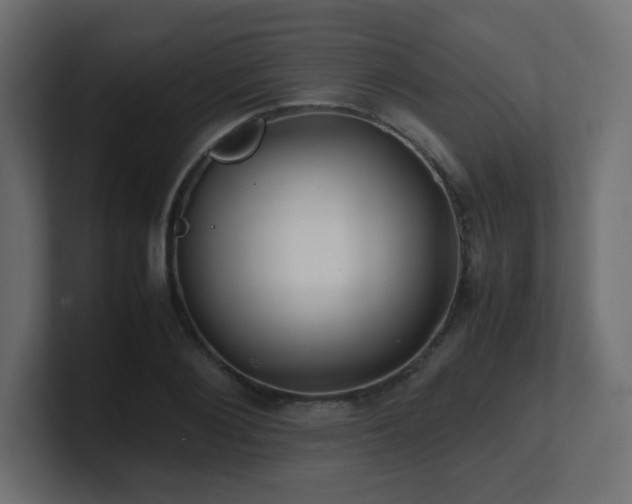 X0000101100884200806261510