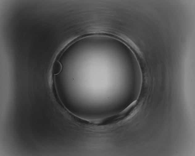 X0000101100885200806261510