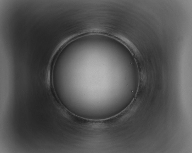 X0000101100886200806261510