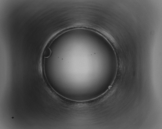 X0000101100888200806261510