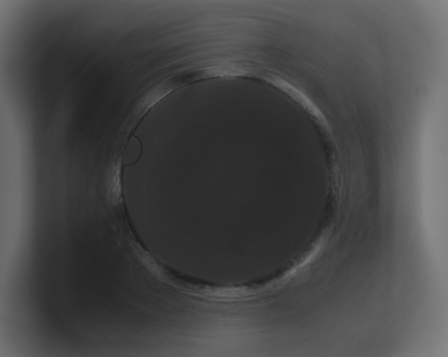 X0000101100889200806261510
