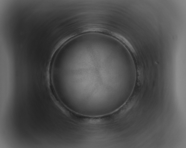 X0000101100890200806261510