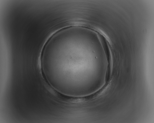 X0000101100891200806261510