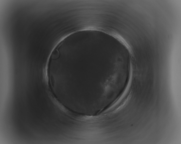 X0000101100892200806261510