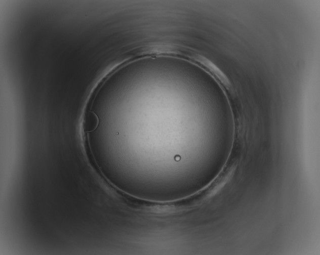 X0000101100893200806261510