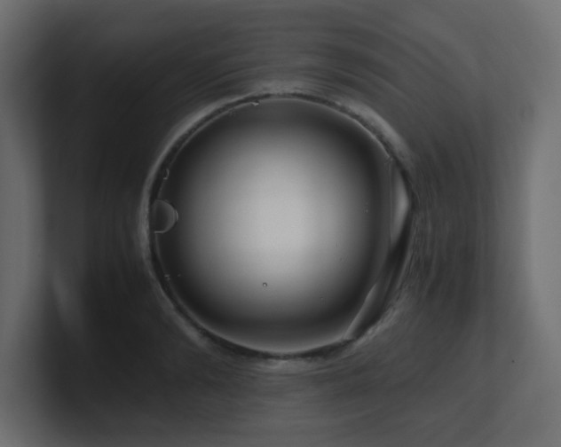 X0000101100894200806261510