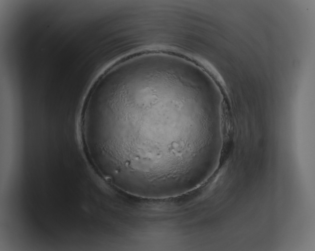 X0000101100895200806261510